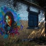 Far Cry 4 (1)