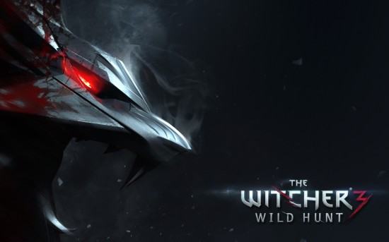 the_witcher_3_wild_hunt_2-wide