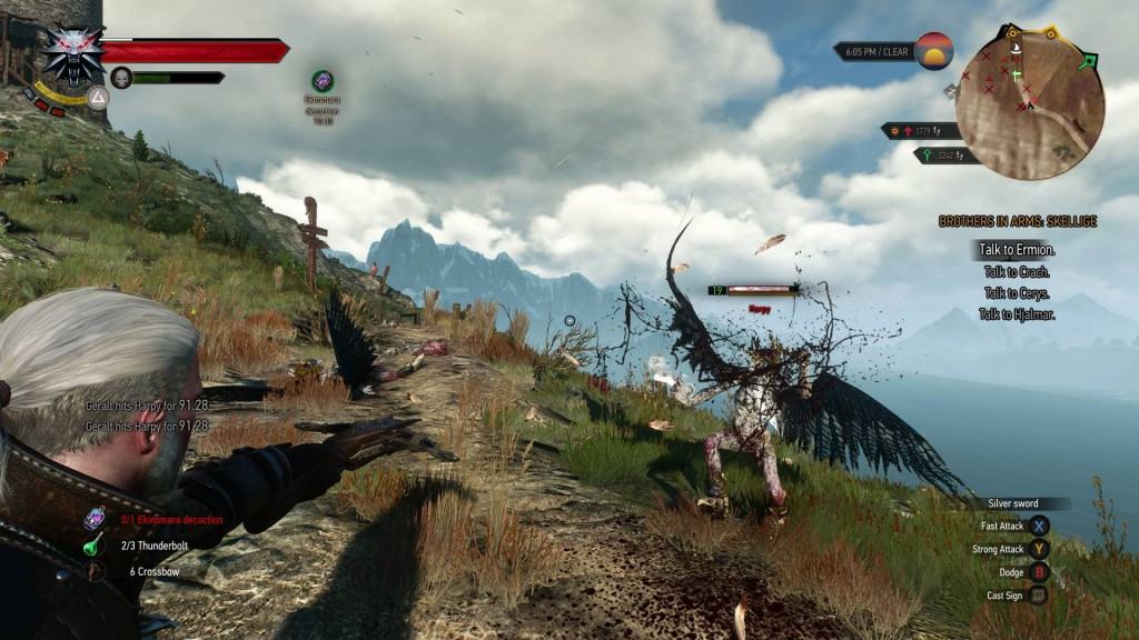 The Witcher 3 (1)