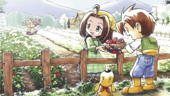 harvest-moon-skytree-village