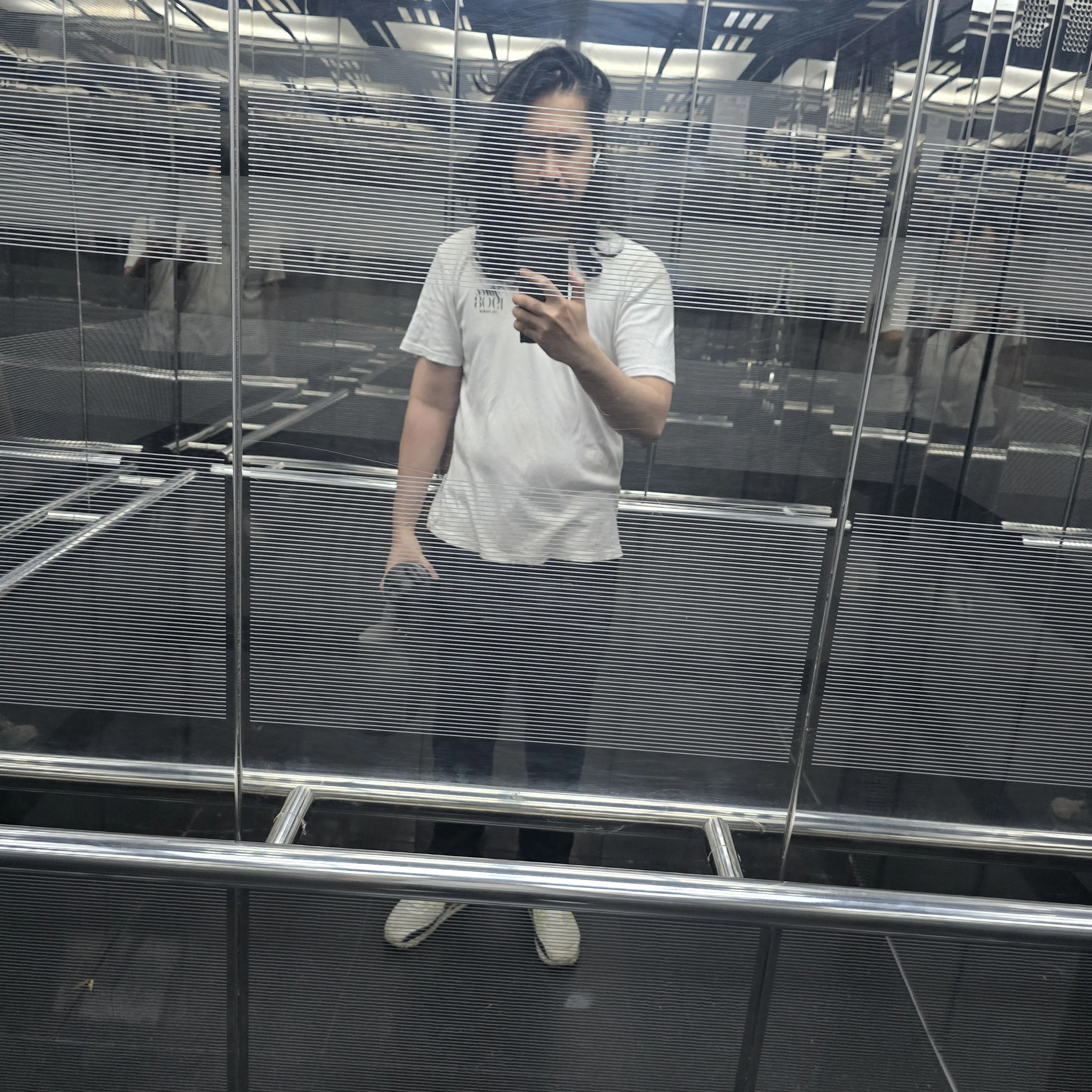 1000067384.webp