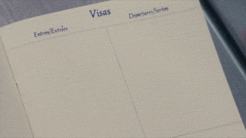 103567-a9b03a613e.gif