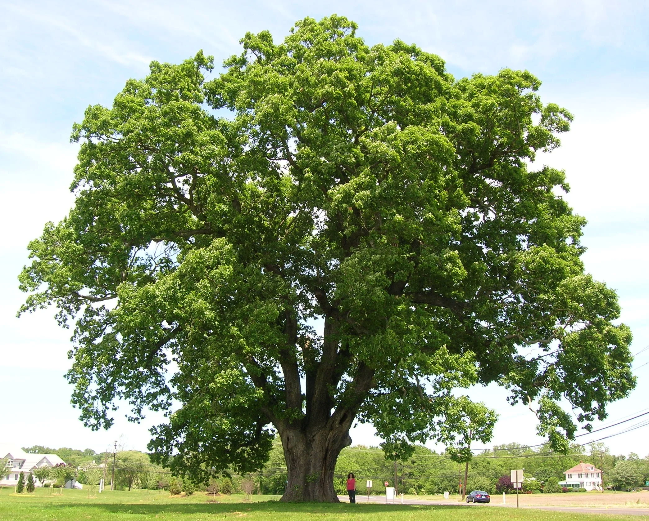 314446-77f03128aa.webp