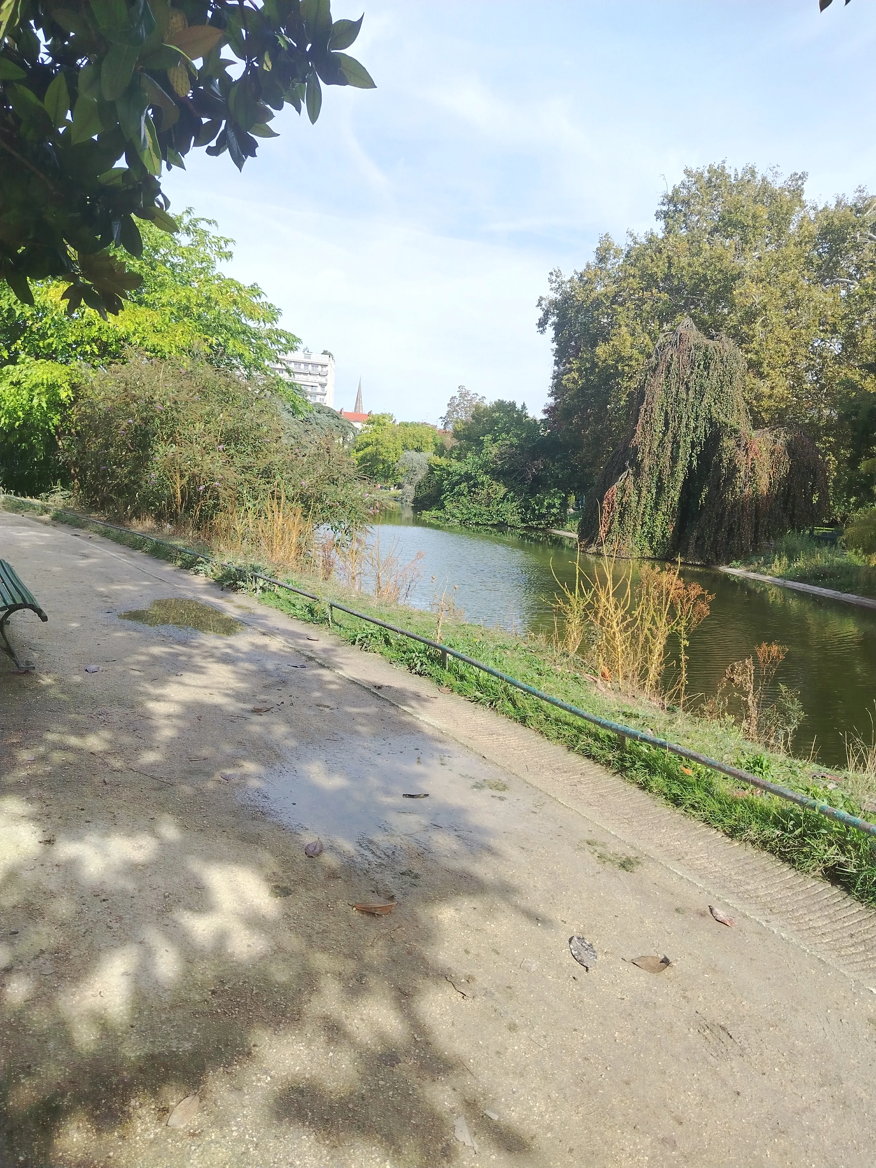 368.webp