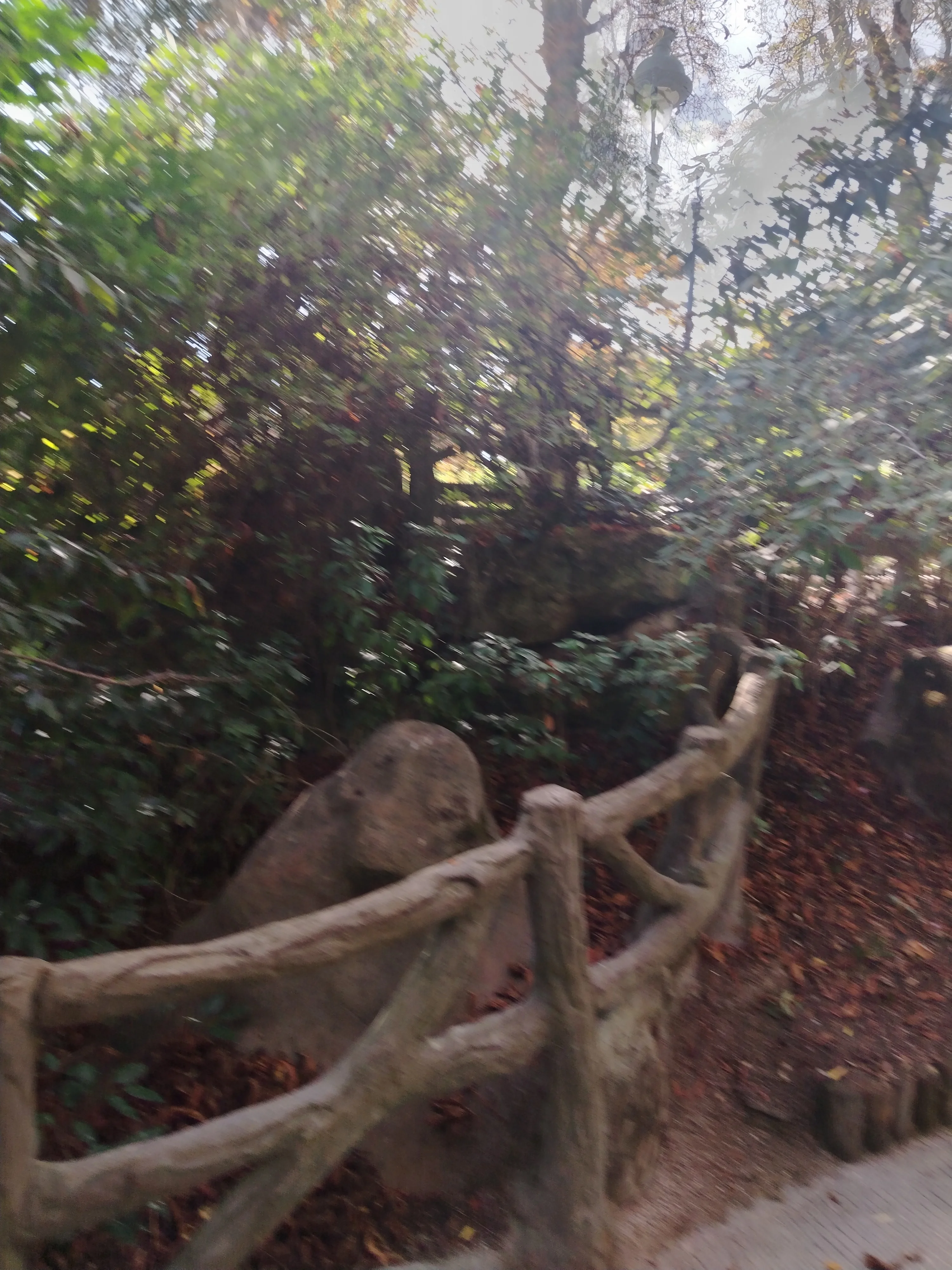 386.webp