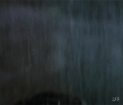 8455-c3d038a891-gif.2883
