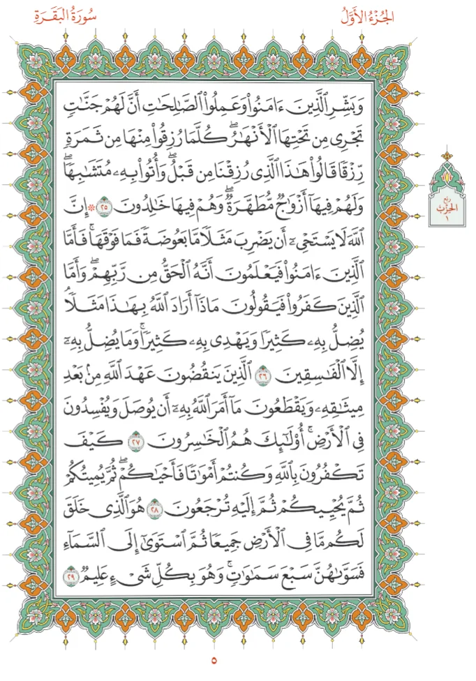 image.webp