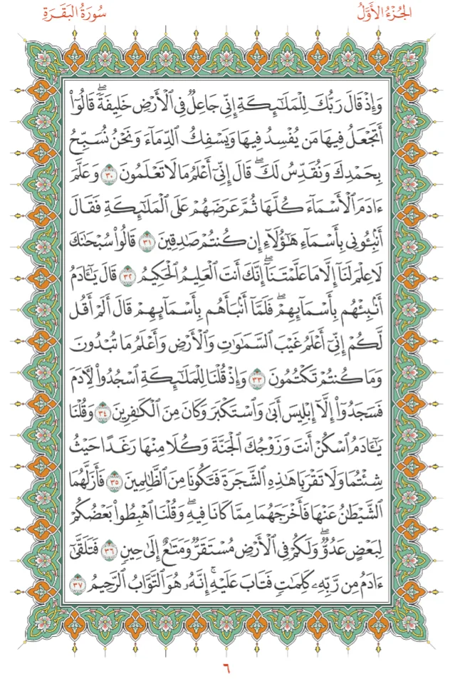 image.webp