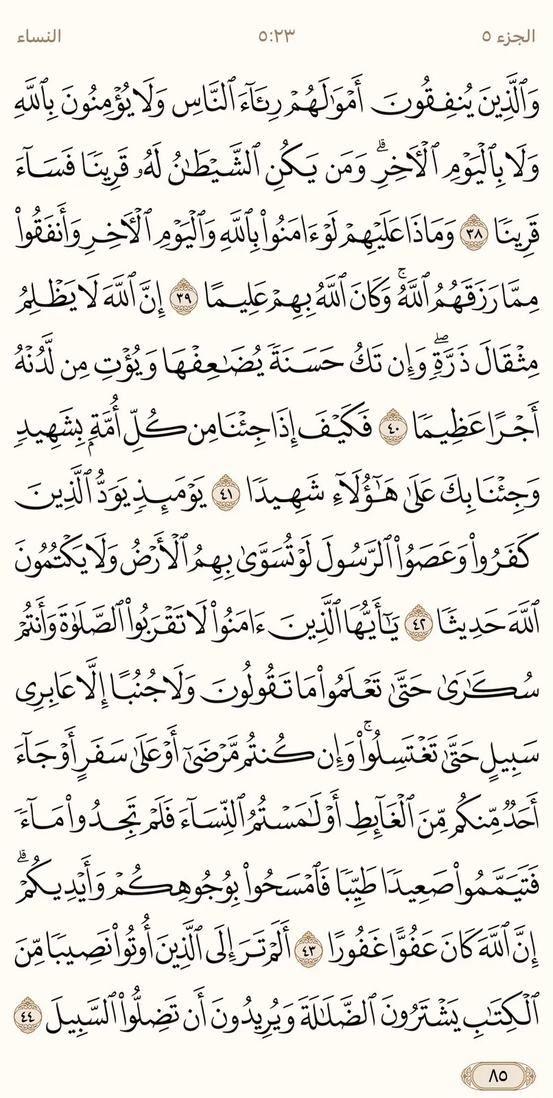 image.webp
