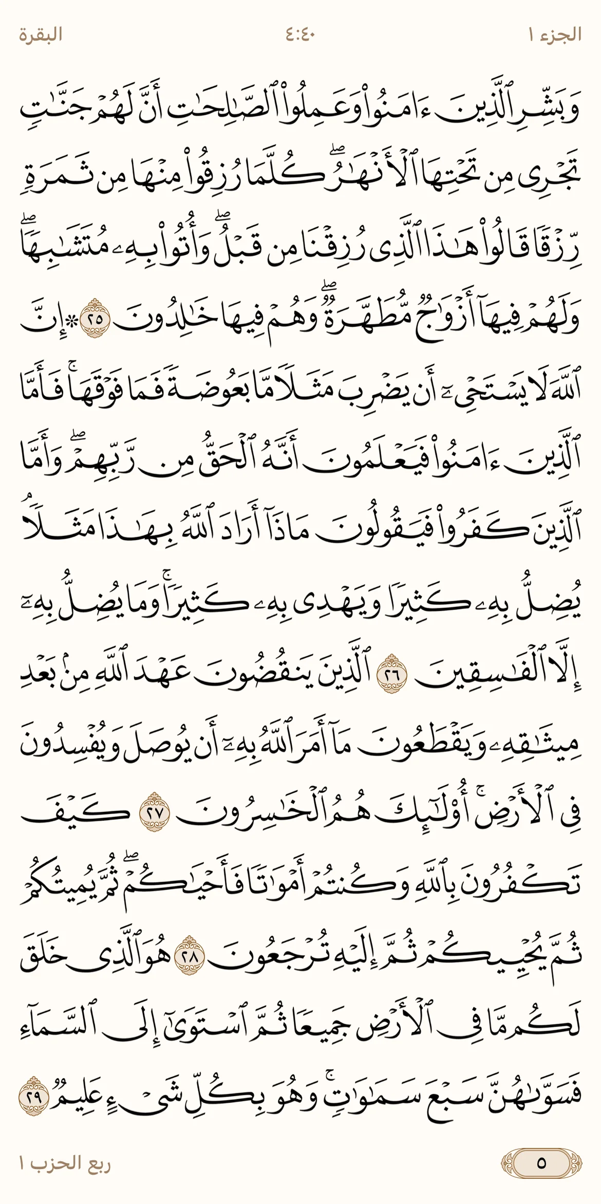IMG_3289.webp