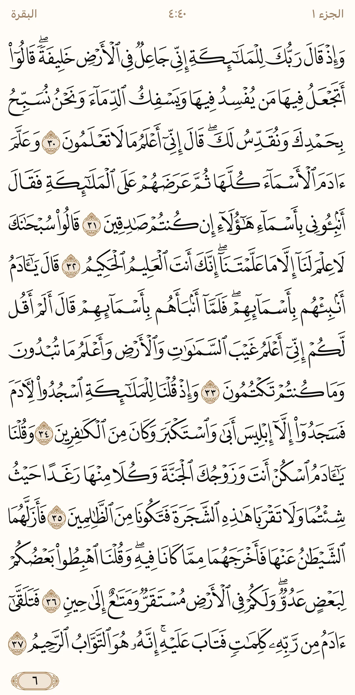 IMG_3290.webp