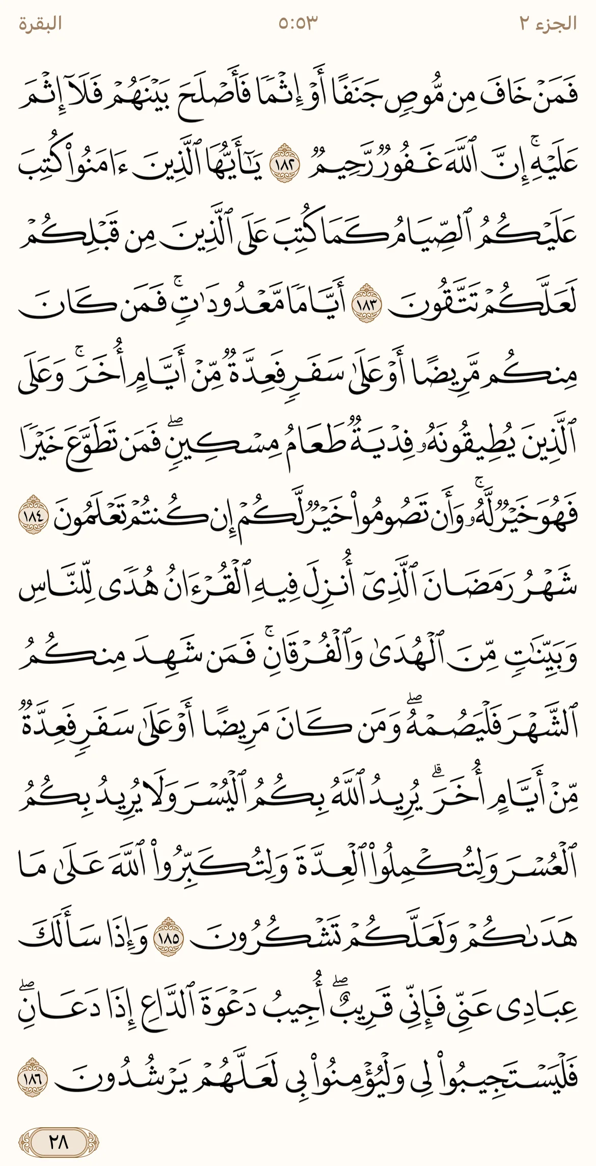 IMG_3325.webp