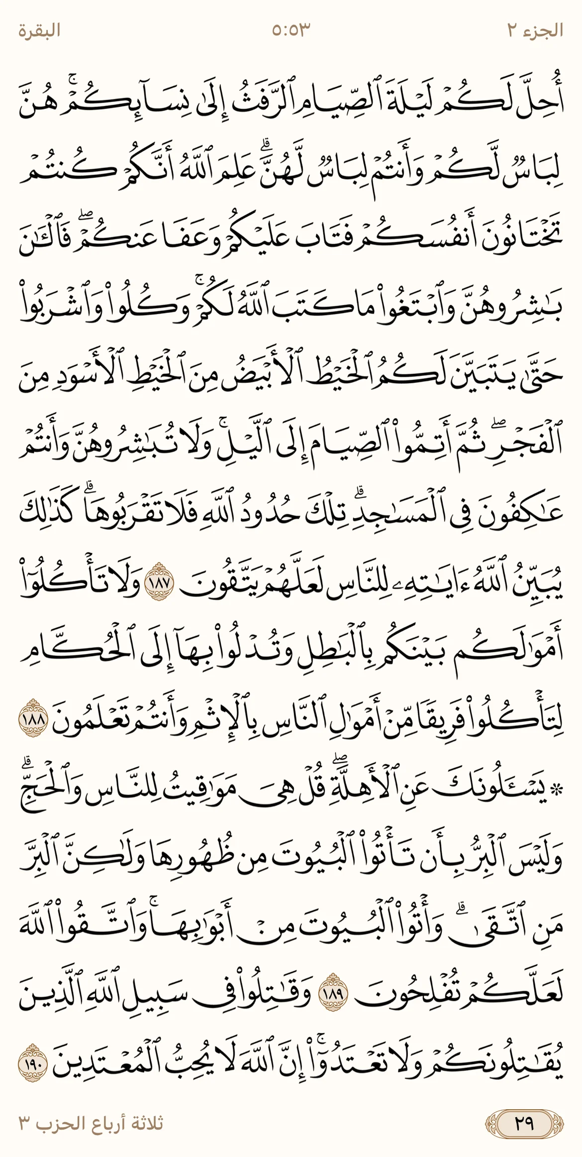 IMG_3326.webp