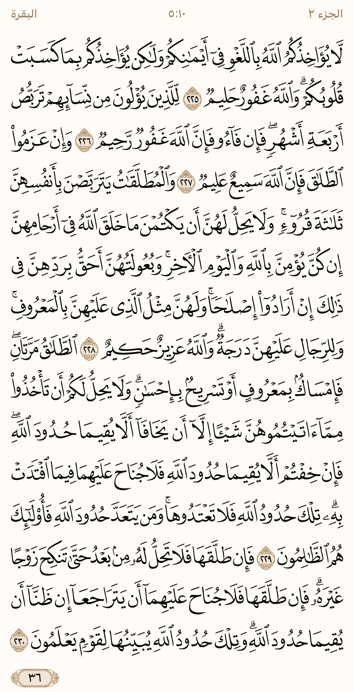 IMG_3336.webp