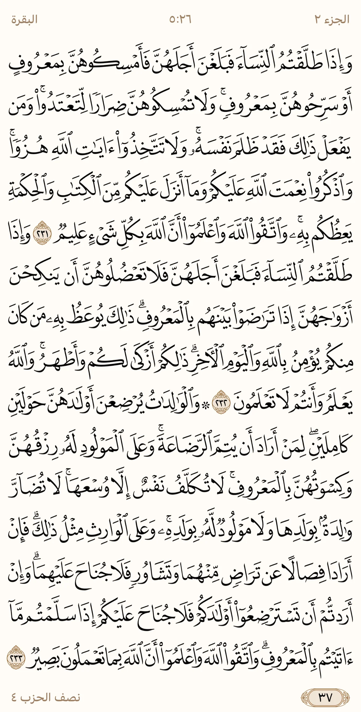 IMG_3337.webp