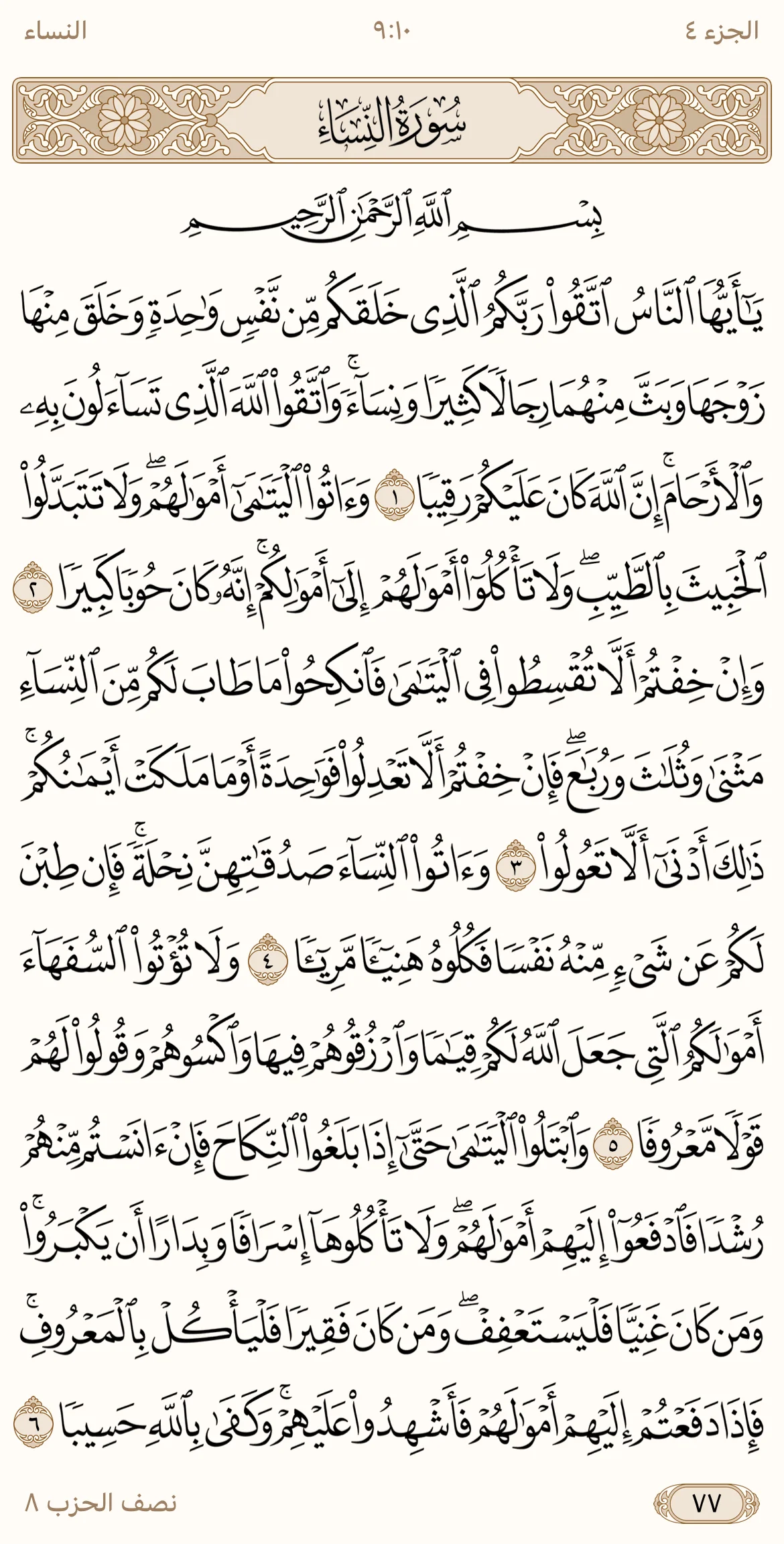 IMG_3395.webp
