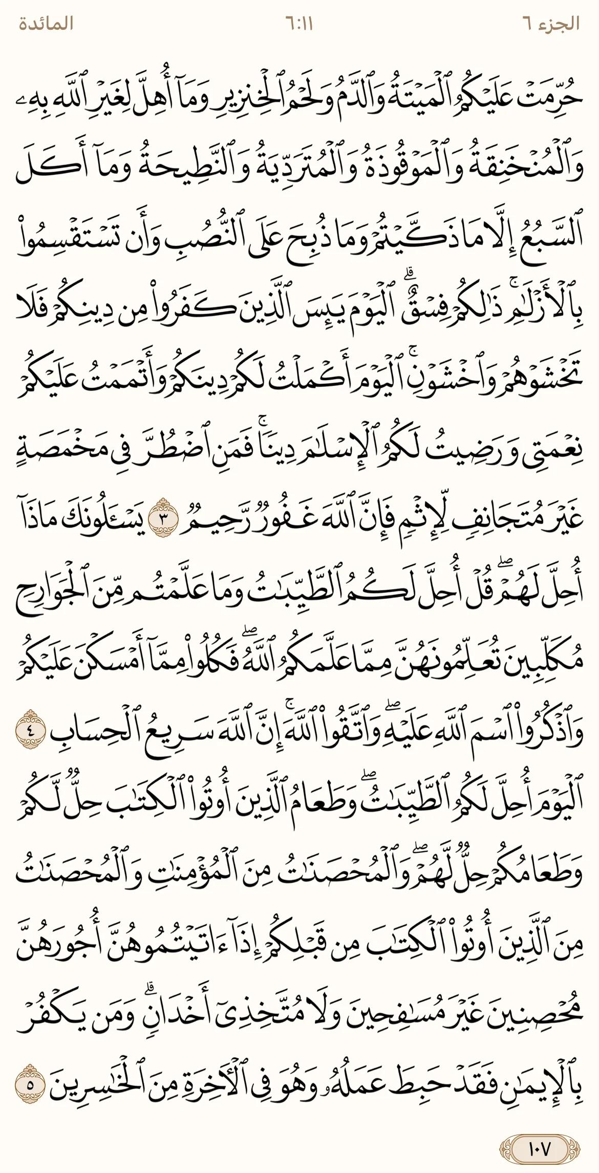 IMG_3440.webp