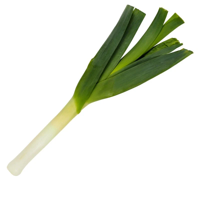 Leek.webp