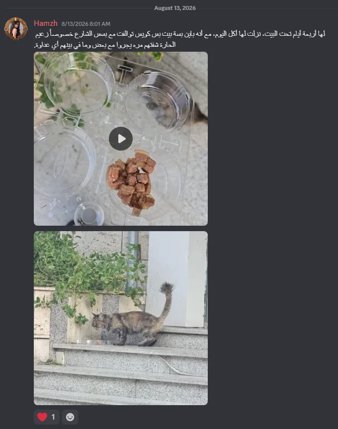Screenshot 2026-09-18 195034.webp