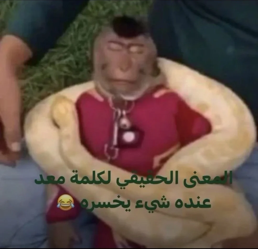 Screenshot_20260910_234736_Reddit.webp