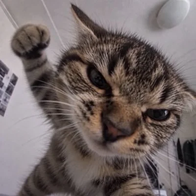 ykVKW9Bo.webp