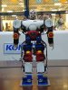 2柔王丸 - Real Robot.JPG