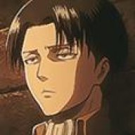 Levi