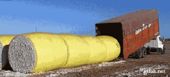 tumblr_mdcm5nozXg1r5c792o1_400.gif