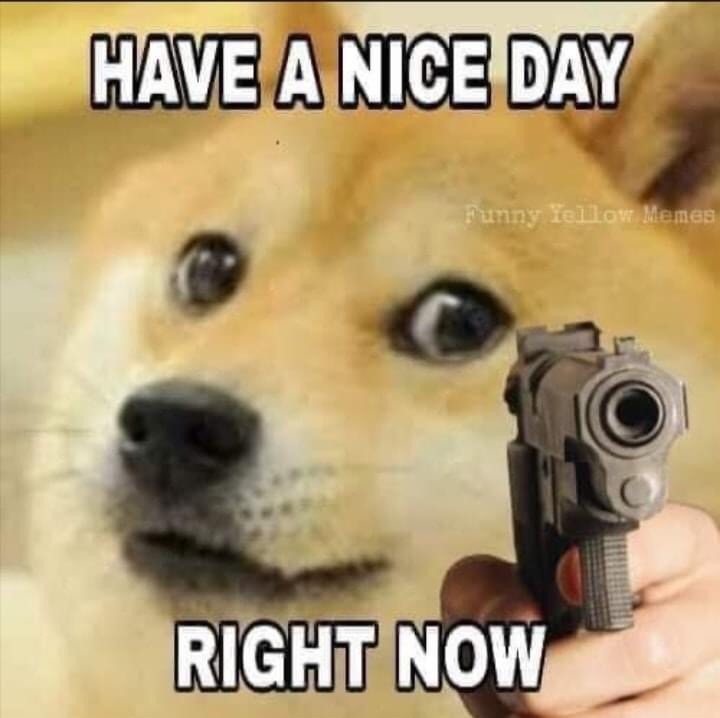 5fd38168994b9.jpeg