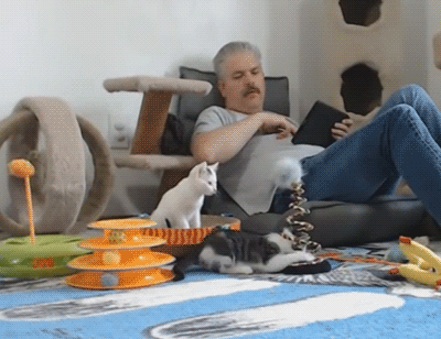 ZBQaeKg.gif