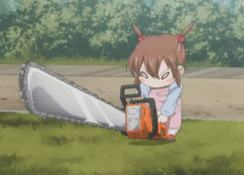 NtuRac2.gif
