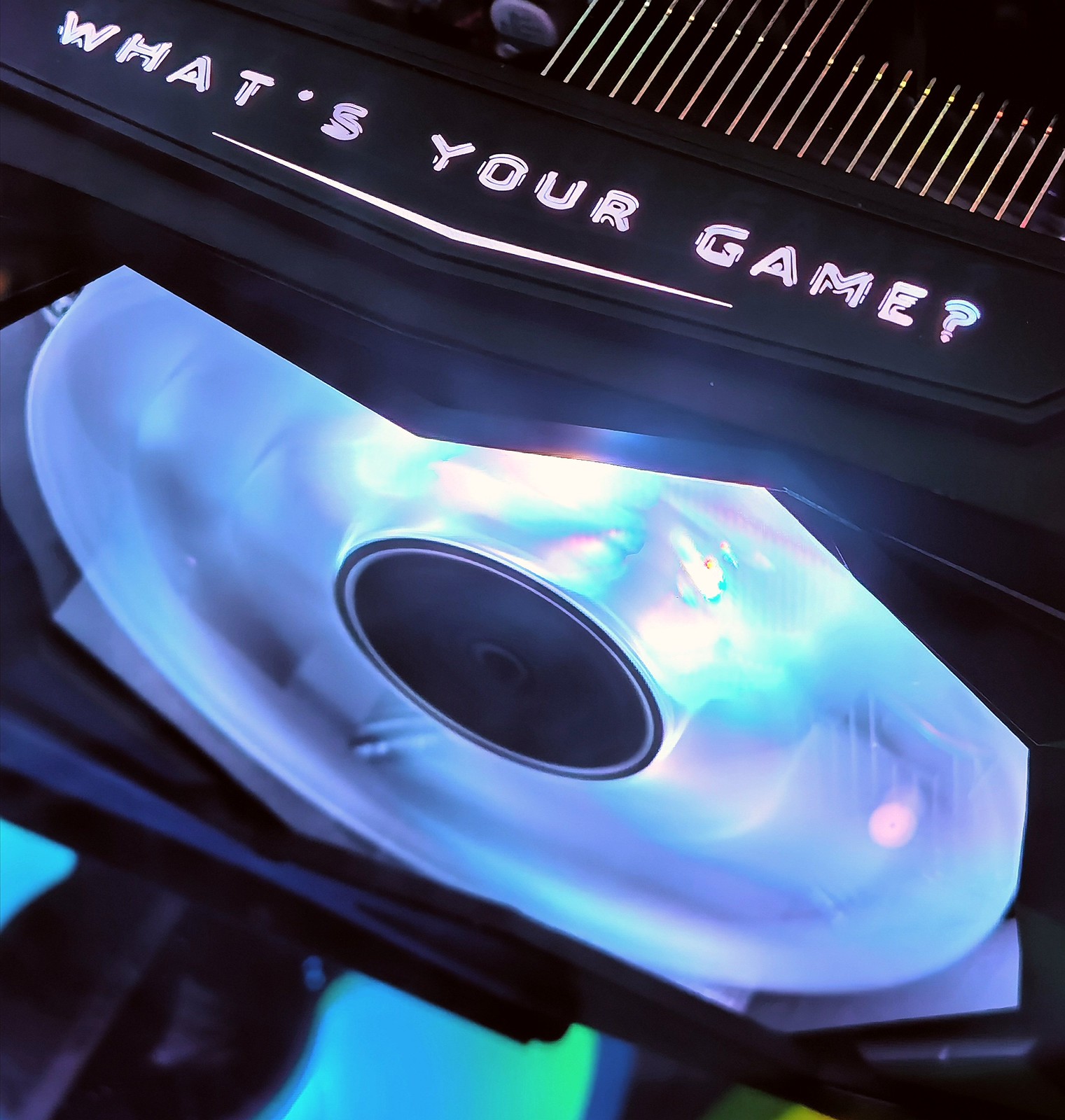 50514464898_bf6df10a01_h.jpg
