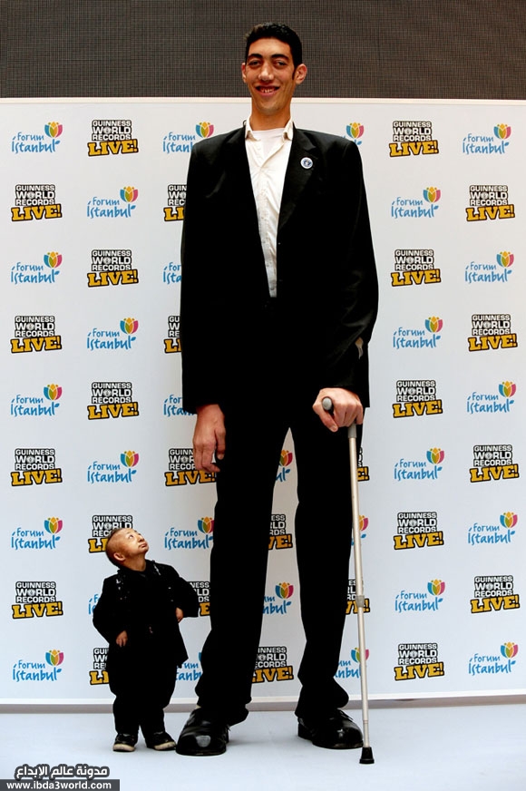 YcPkaIe.jpg