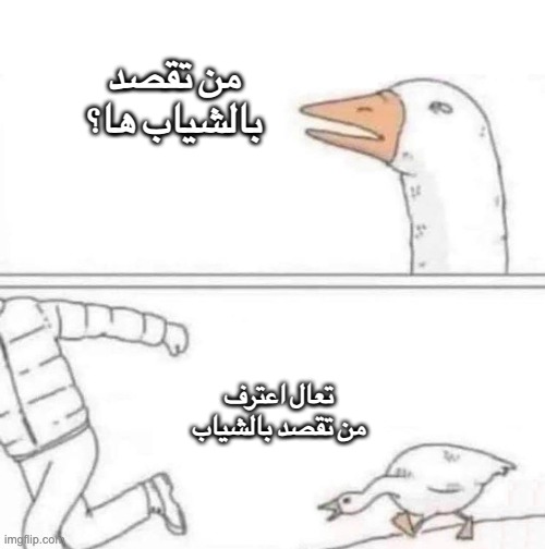 a9ilkv.jpg