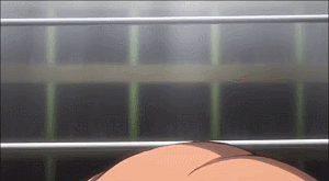 KGUPzA1.gif