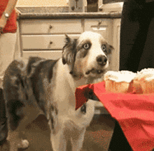 GBr47FW.gif