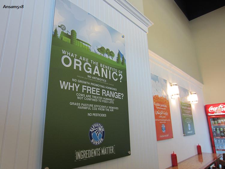 elevation-burger-10.jpg