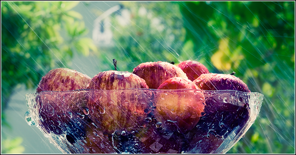 Apples_by_Hasan_Alzaabi.jpg