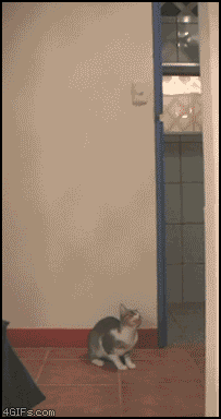 SahPd.gif