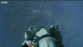 mjU4Ys9.gif
