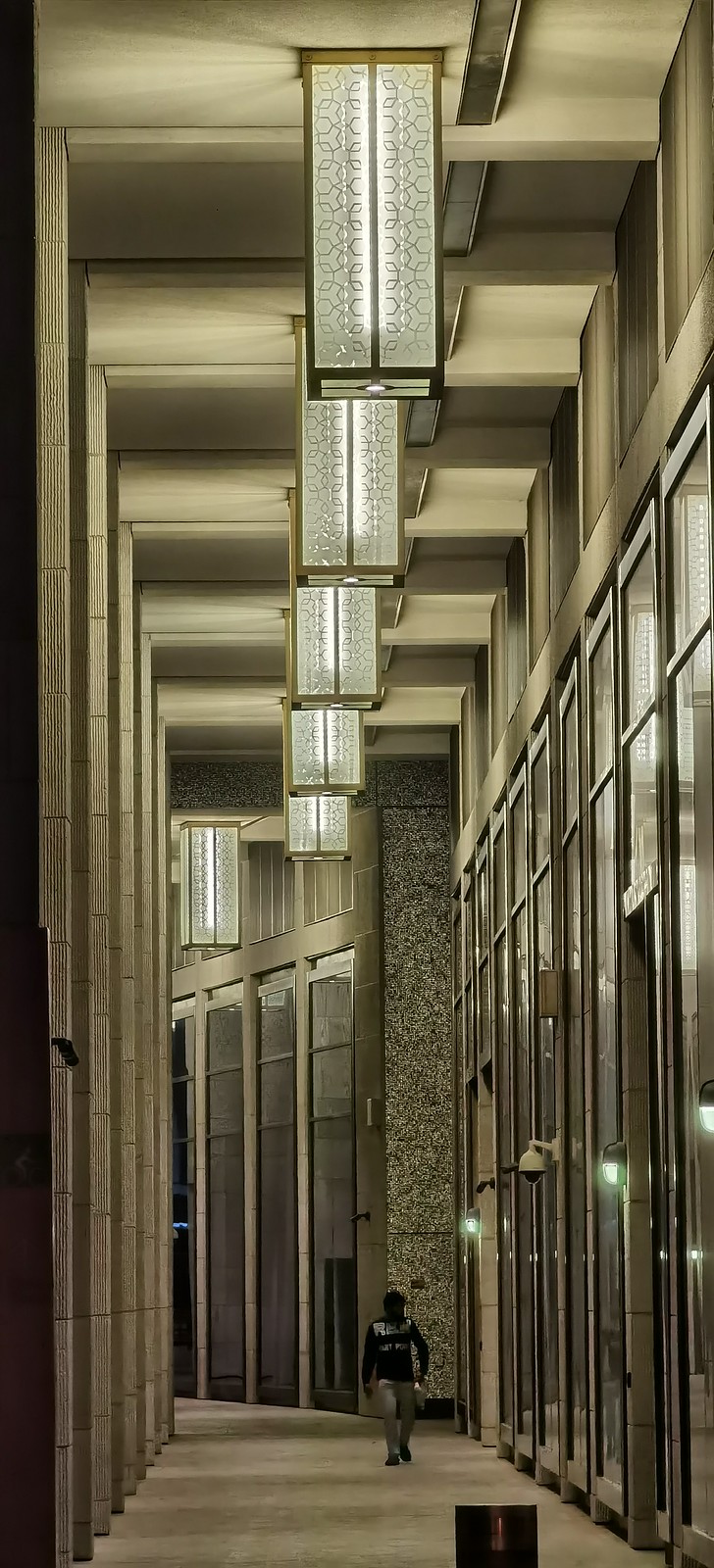 49797666668_fc354b329d_h.jpg