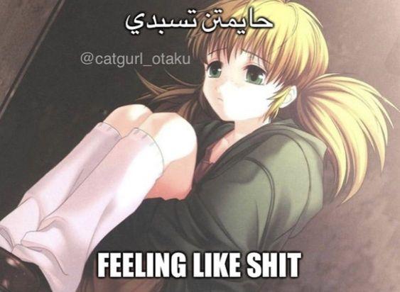 Q58Z3Iz.jpeg