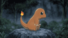 charmander-ichooseyou.gif