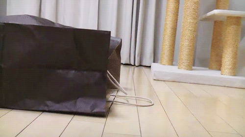 tumblr_mcklojqqac1rcijg7o1_500.gif