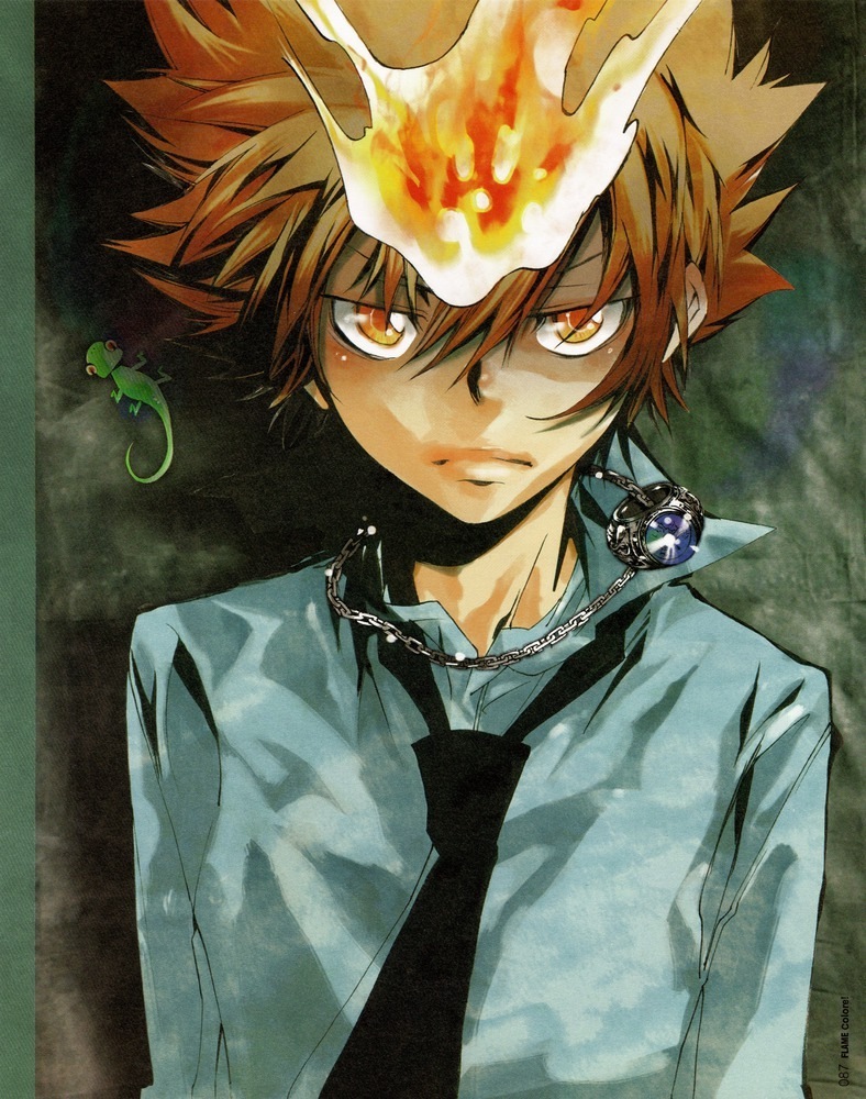 Tsuna-katekyo-hitman-reborn-18606371-788-1000.jpg