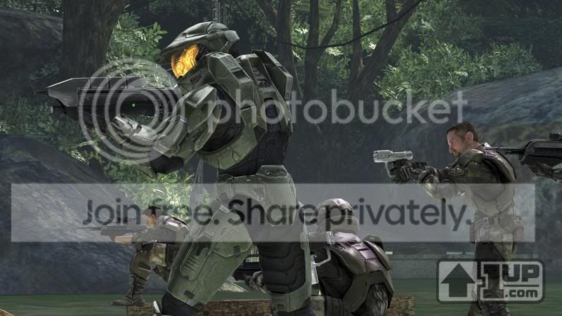 media8.jpg