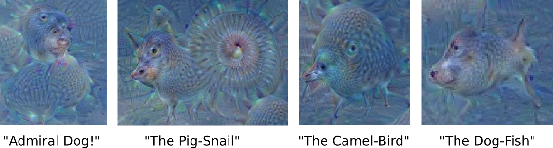Funny-Animals.png