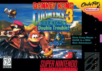 Dkc3_snes_boxart.jpg