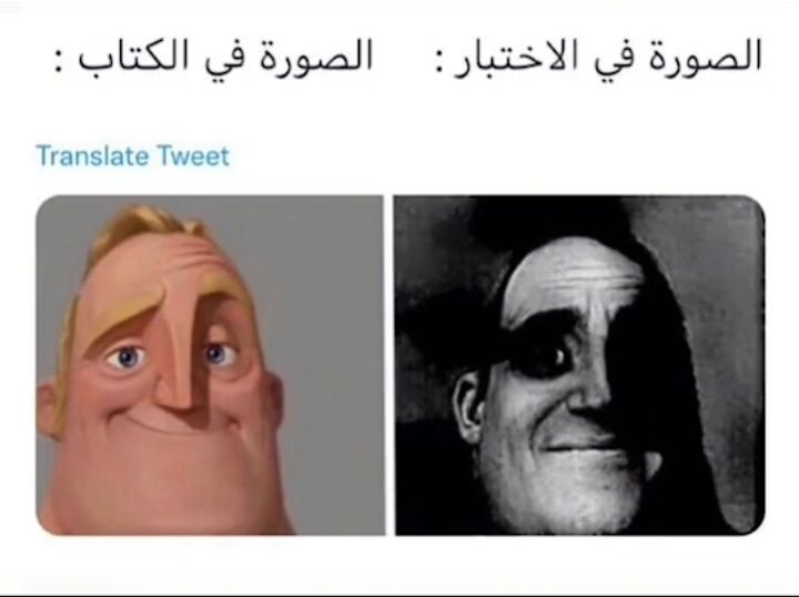 973134638.jpeg