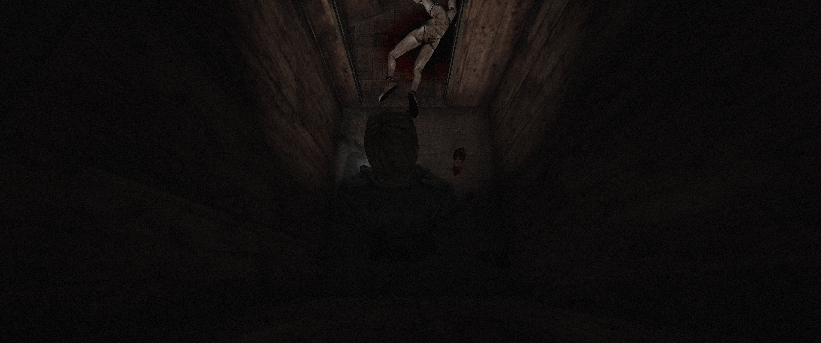 51819973970_77d82baaff_o_d.png